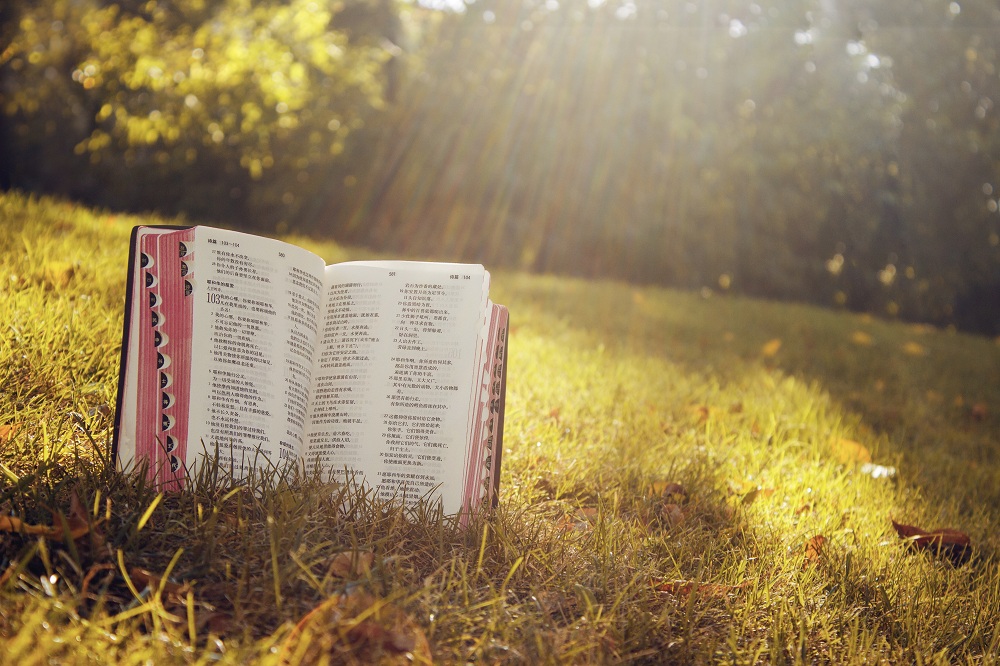 温洪斌:疫情连三月,圣经抵万金